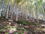 gal/2010/10 - Autunno in Casentino/_thb_riserva_la_pietra1-01.jpg